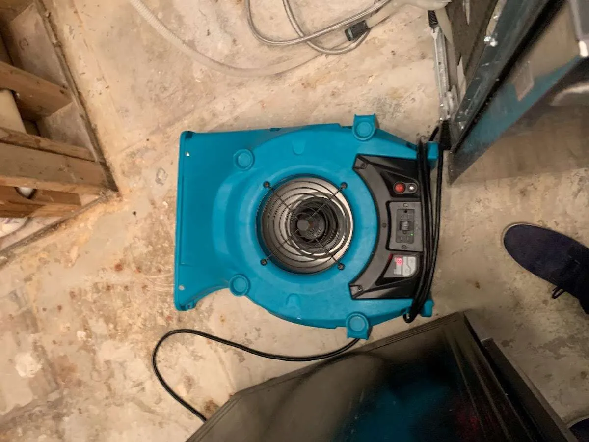 Air mover drying equipment for Mold Remediation & Removal in Orland Park