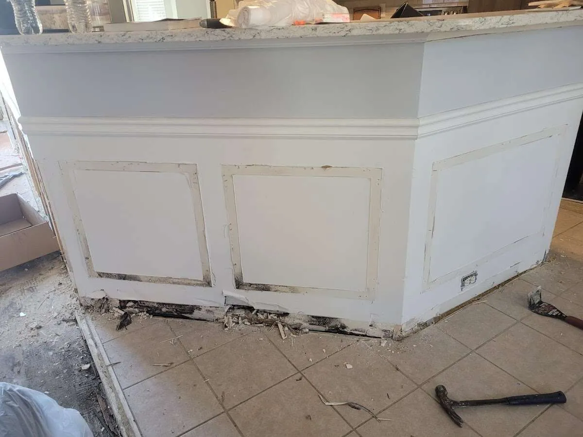 Water damage and mold on kitchen during Storm Damage Restoration in Orland Park